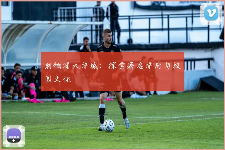 利物浦大学城:探索著名学府与校园文化