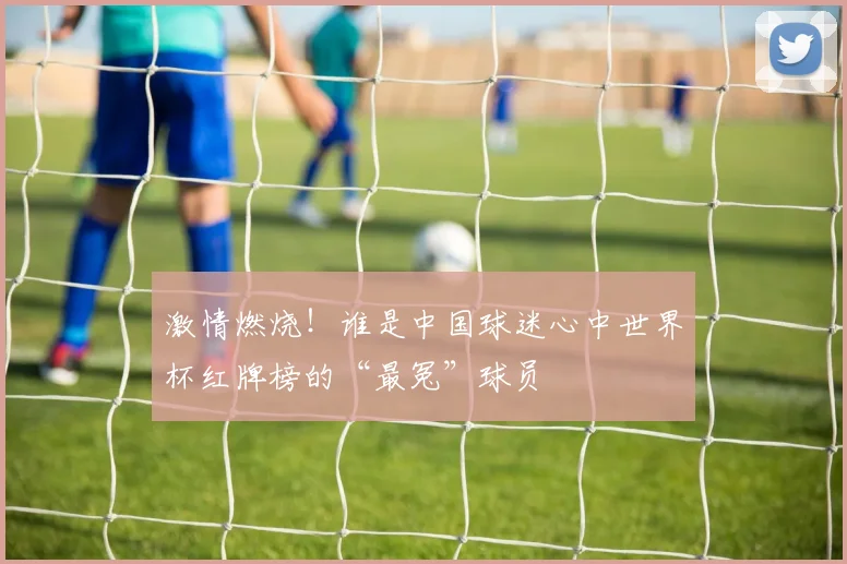 激情燃烧!谁是中国球迷心中世界杯红牌榜的“最冤”球员